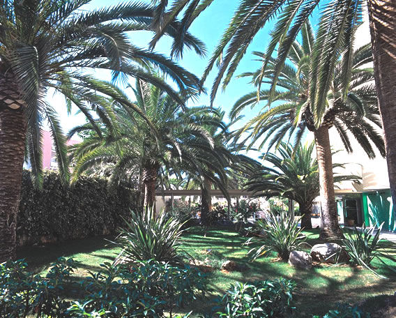 Hotel Palmira Isabela Santa Ponsa Eksteriør bilde